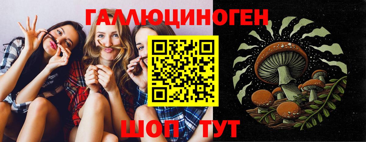 Всеволожск  Псилоцибиновые грибы мухоморы  Вход с VPN  Псилоцибиновые грибы прущие грибы 