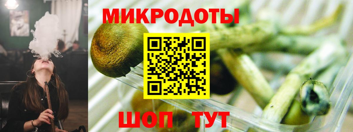 Галлюциногенные грибы Cubensis Всеволожск